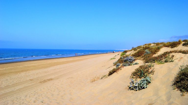 Elviria